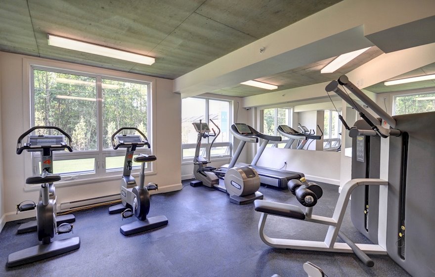 12 - Gym