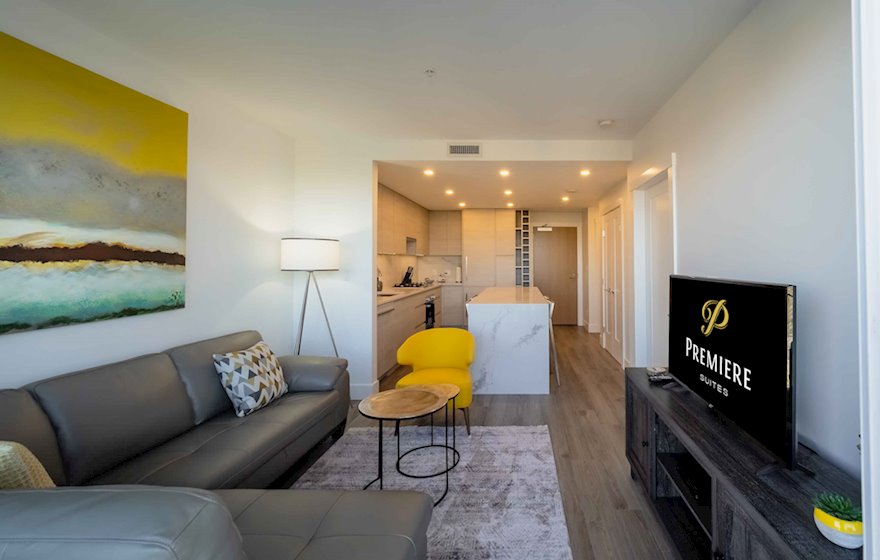Fully Furnished Condo / Living Room and Kitchen