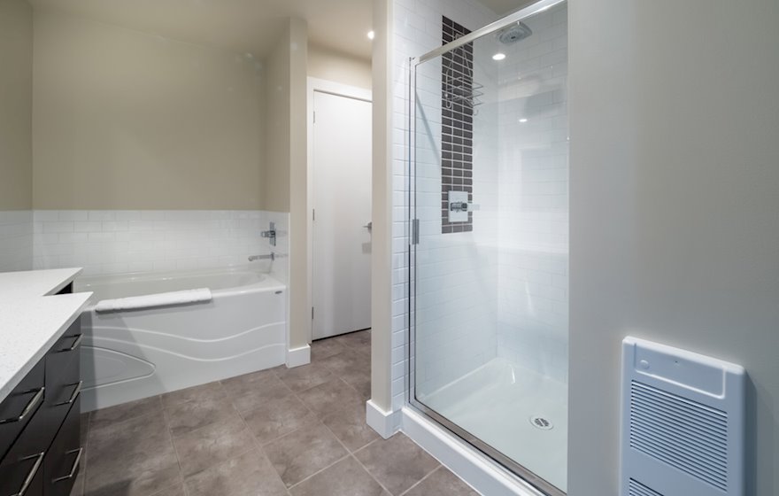 Master bathroom separate tub and shower