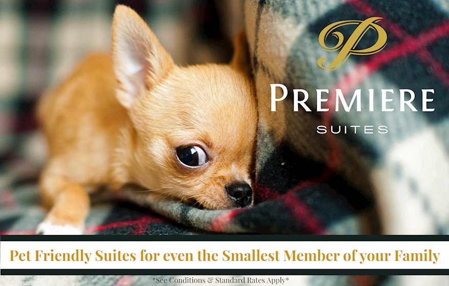 Pet Friendly Suites Dartmouth NS
