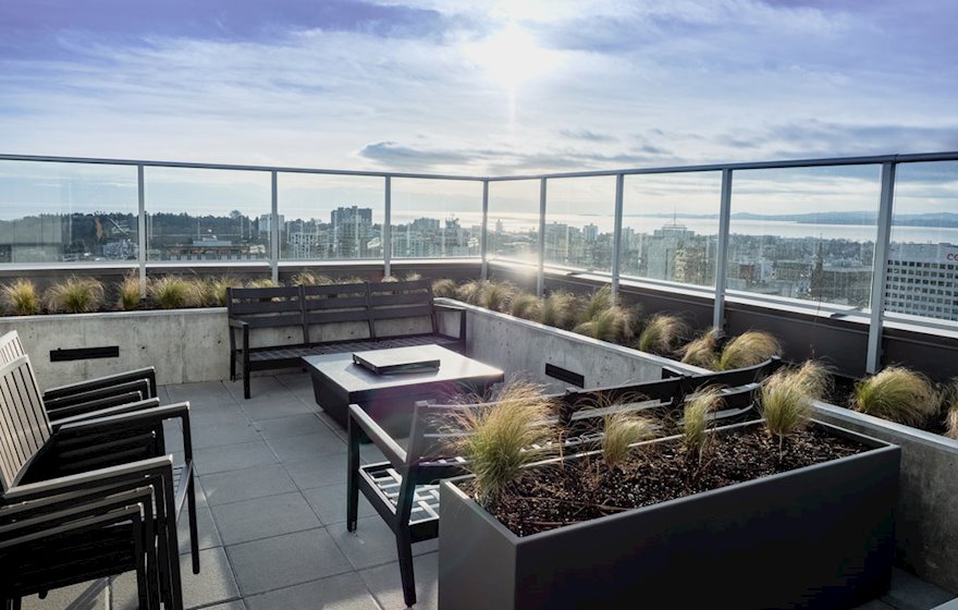 Yates on Yates Rooftop BBQs