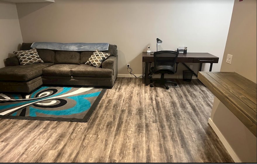 Basement Living Room